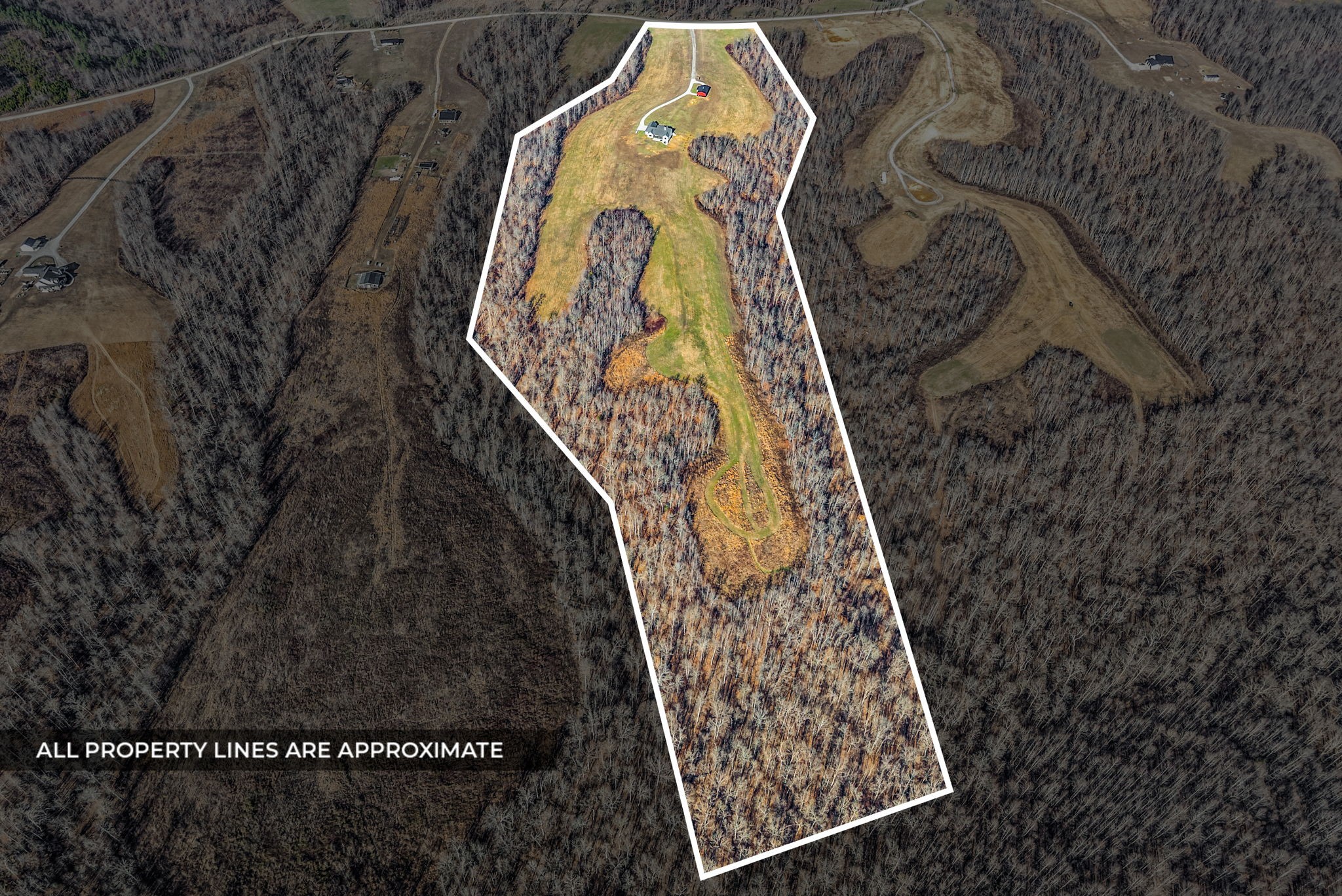 720 Moore Hollow Road Indian Mound, TN 37079 - Photo 59 of 72