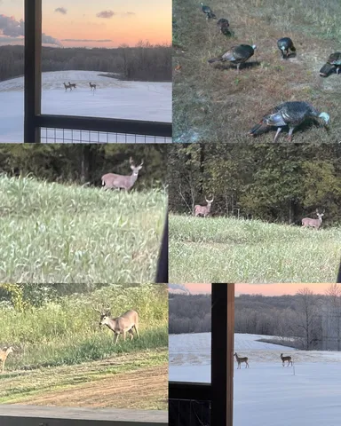 $1,200,000 | 720 Moore Hollow Road, Indian Mound, TN 37079