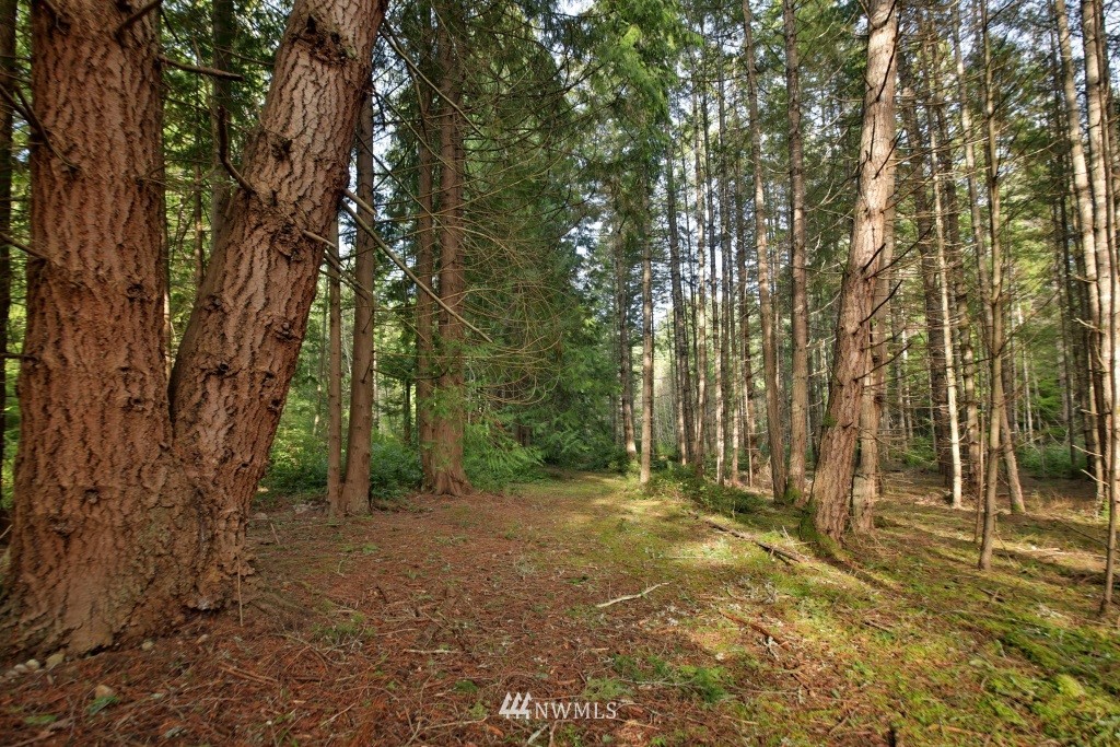3283 Brooks Hill Road Langley, WA 98260 - Photo 23 of 25 Gallery Image 23