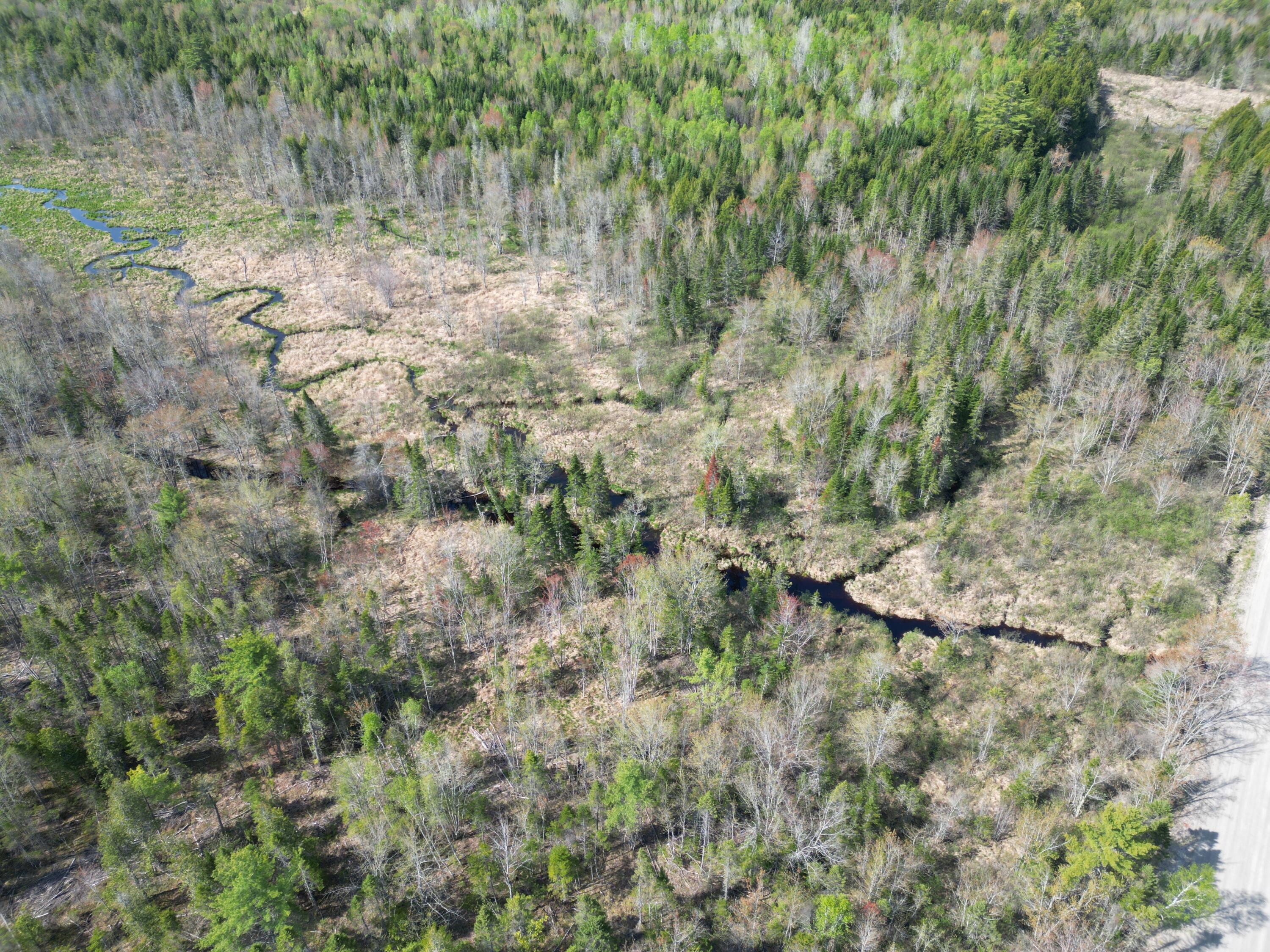 Lot 1 Mattamiscontis Road Howland, ME 04448 - Photo 13 of 15 DJI_0521