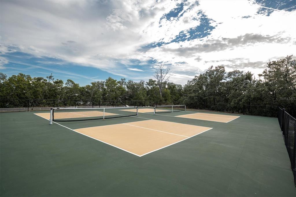 1605 Center Road Terra Ceia, FL 34250 - Photo 51 of 55