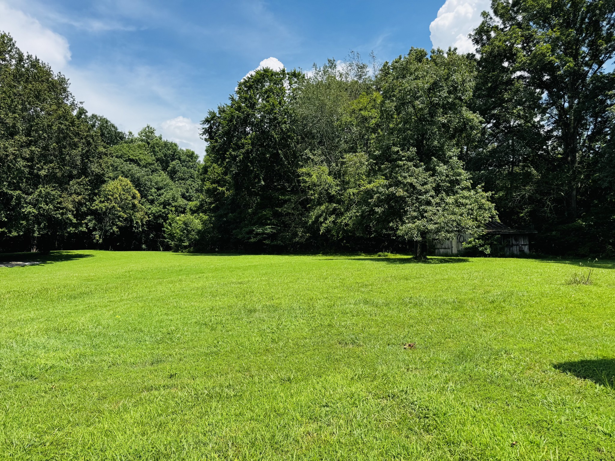 2095 Mosley Ferry Road Chapmansboro, TN 37035 - Photo 3 of 16 Gallery Image 3