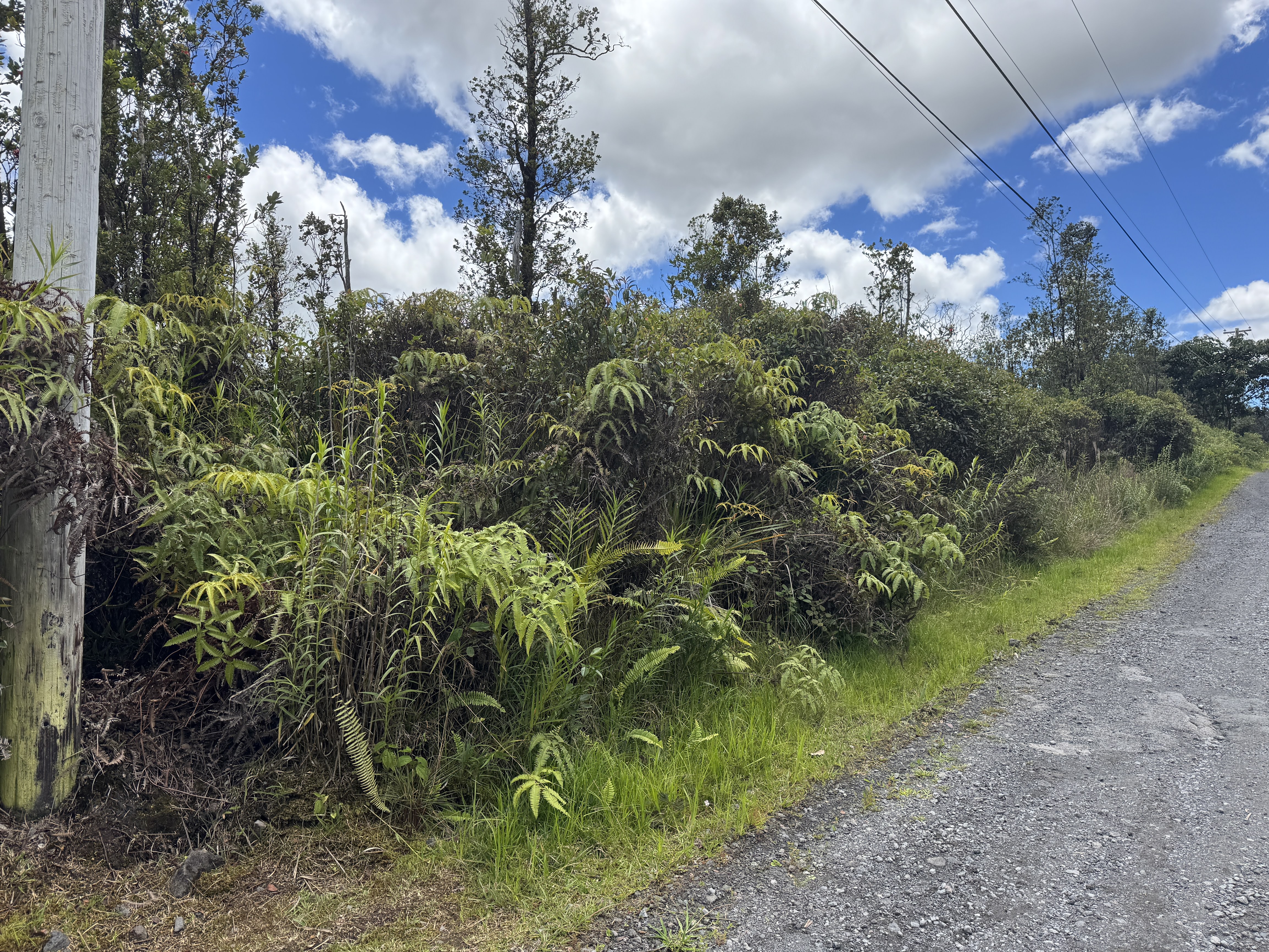 26 Ohialani Road Mountain View, HI 96771 - Photo 8 of 12 Gallery Image 8