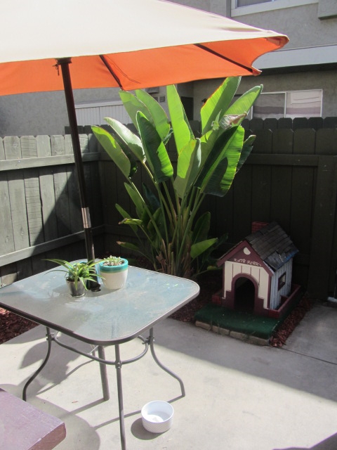 935 Jamacha Road, Unit B El Cajon, CA 92019 - Photo 12 of 15 Gallery Image 12