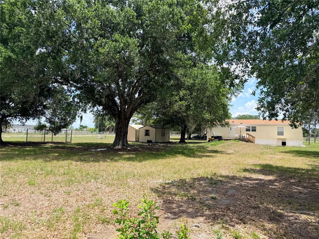 33 Ridge Road Frostproof, FL 33843 - Photo 19 of 21 a view of a yard with a tree