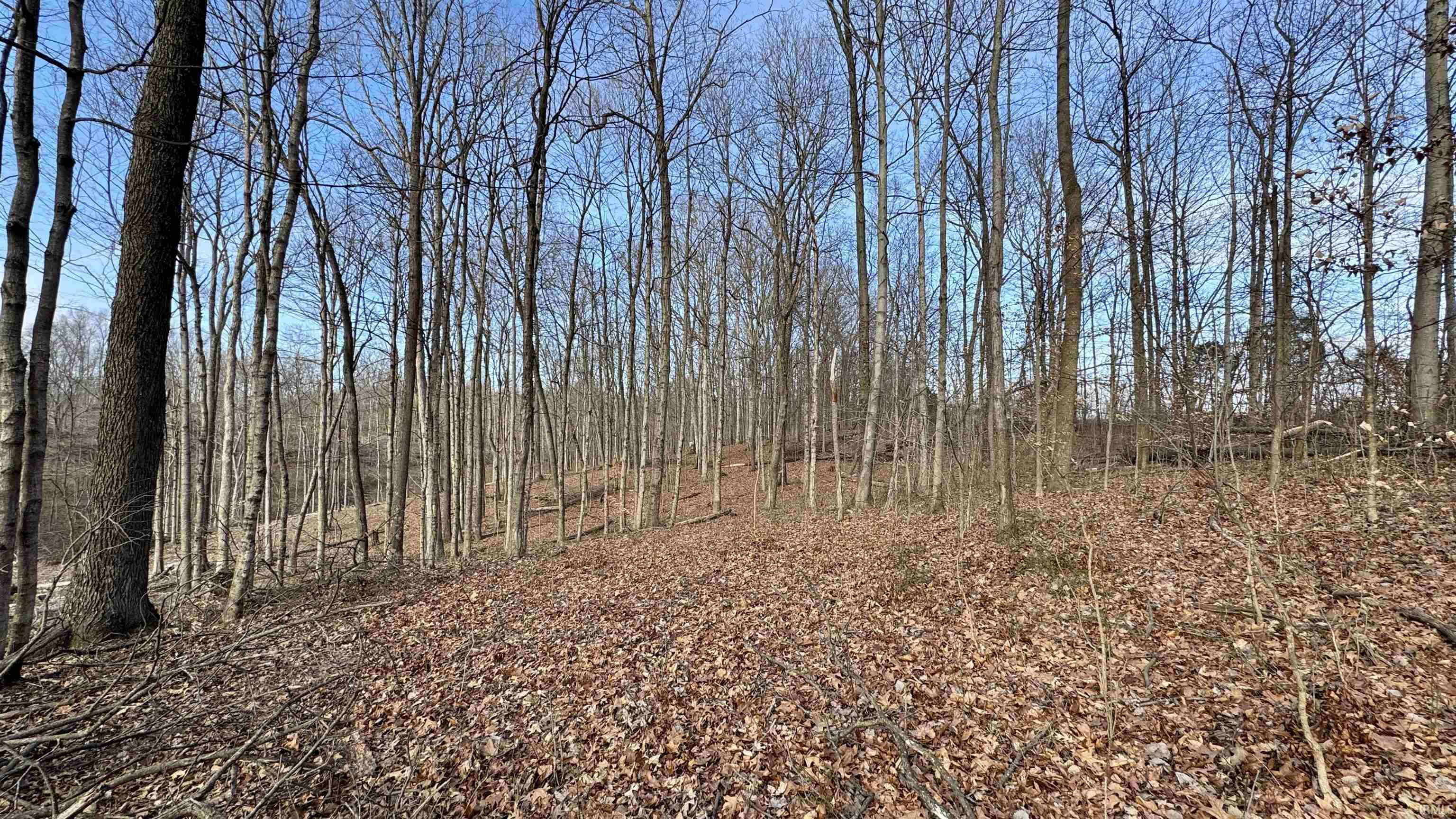 200 South French Lick In 47432 French Lick, IN 47432 - Photo 13 of 20