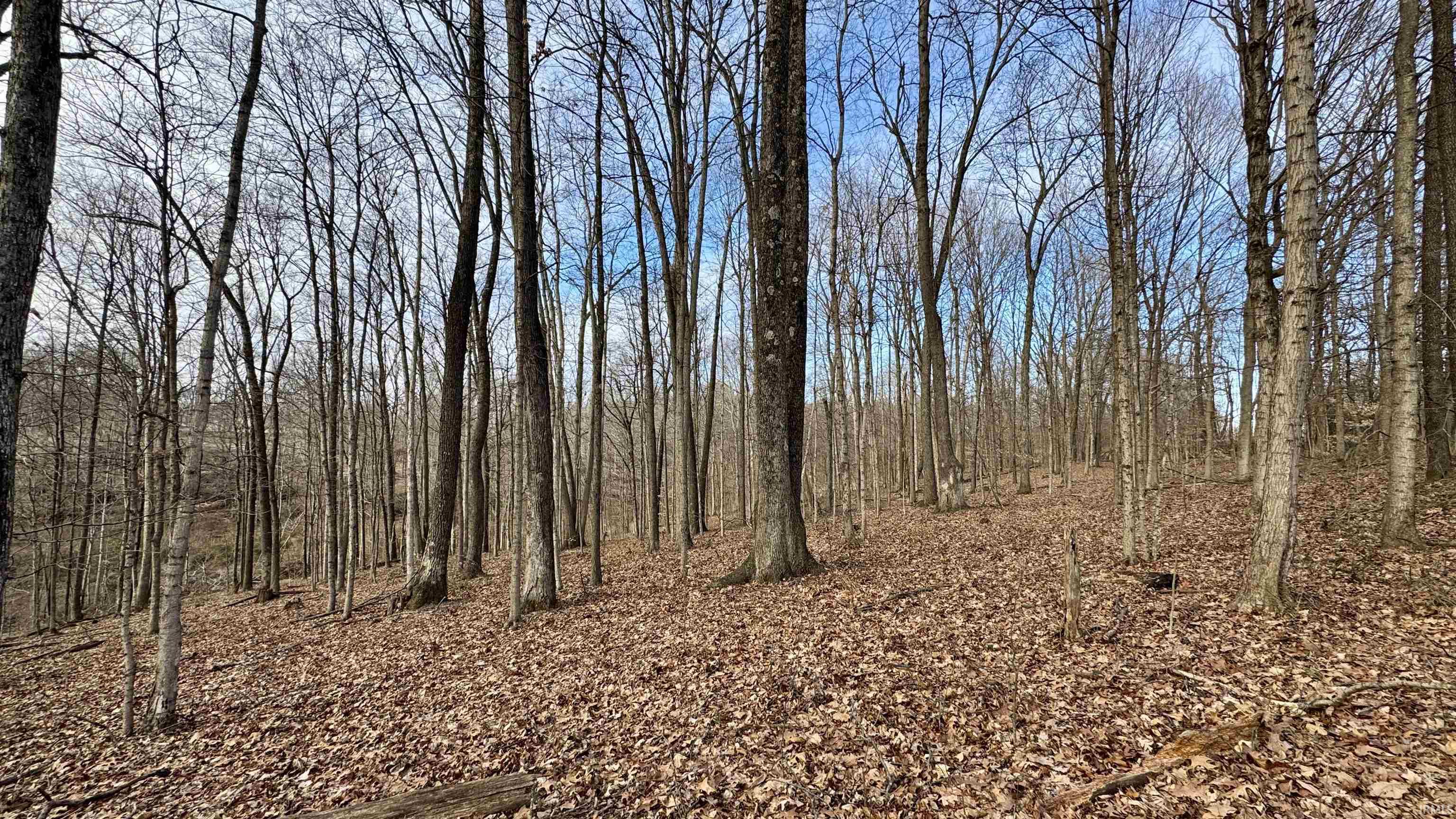200 South French Lick In 47432 French Lick, IN 47432 - Photo 15 of 20