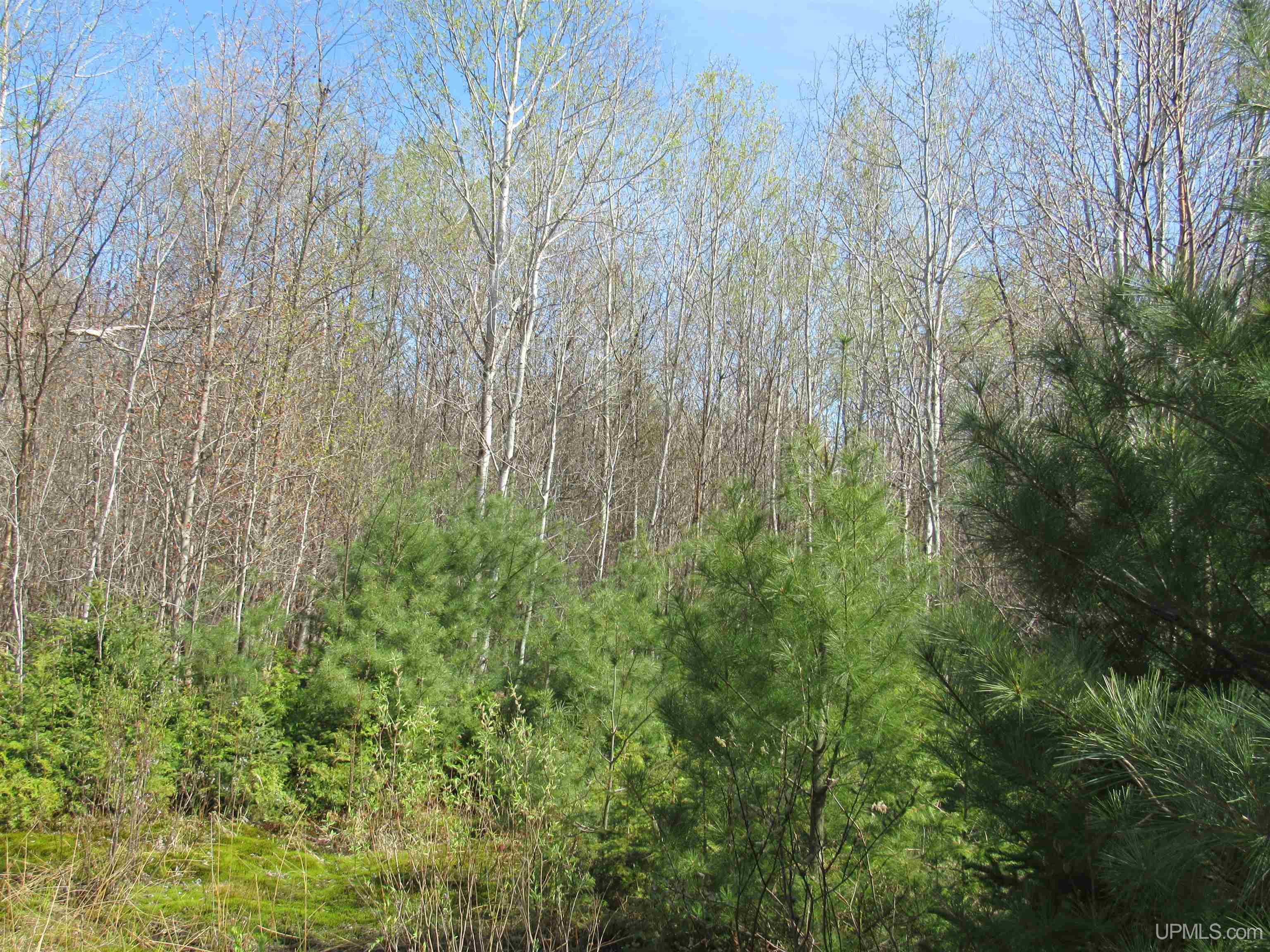 Tbd Off Rice Lake Road, Unit NO DRIVE BYS Lake Linden, MI 49945 - Photo 32 of 40
