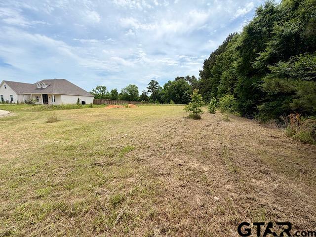 14973 Turtle Crk Rnch Road Flint, TX 75762 - Photo 6 of 6