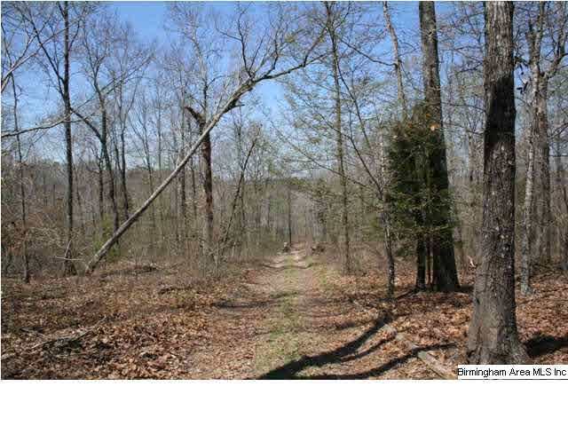 0 Silley Dean Road Northwest, Unit 277 AC Pinson, AL 35126 - Photo 9 of 19