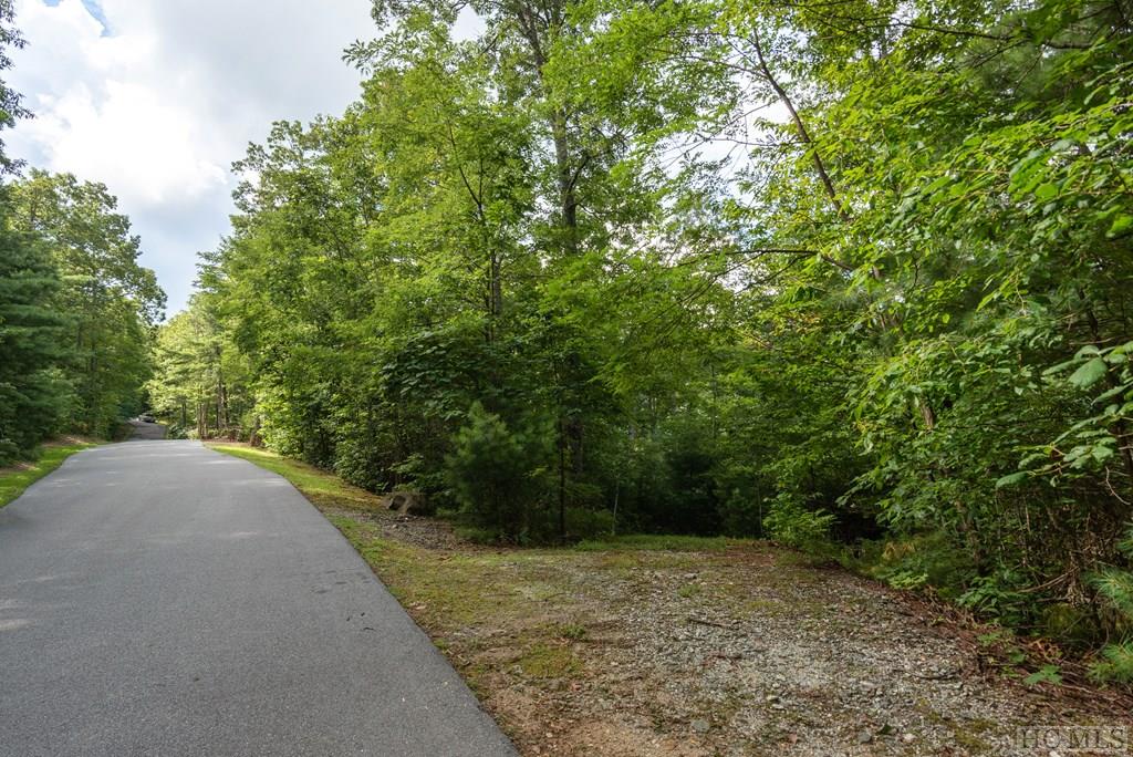 Lot 21 East Ridge Road Cashiers, NC 28717 - Photo 4 of 14 Gallery Image 4