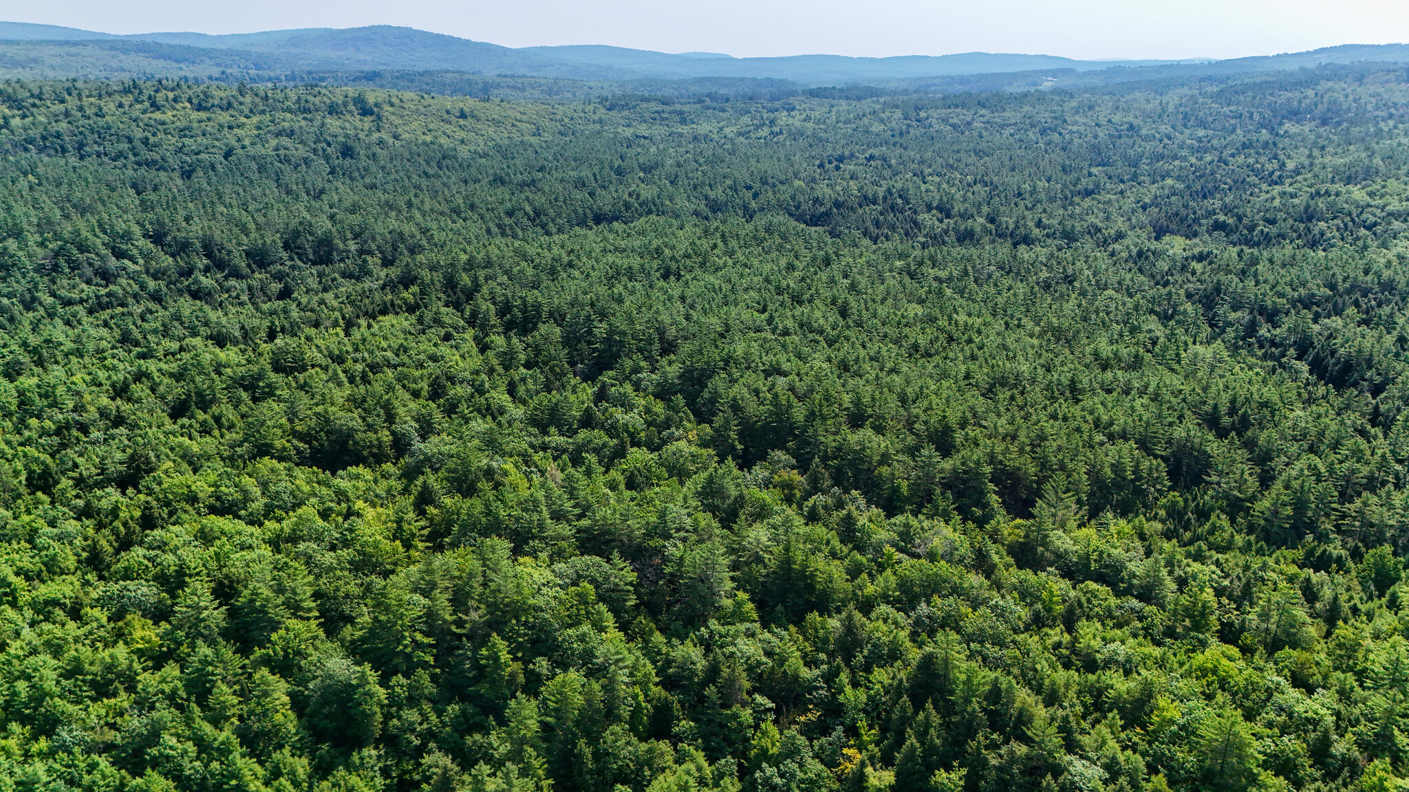 Lot #18 Ellis Road Harrison, ME 04040 - Photo 8 of 11 land-6_(2048)