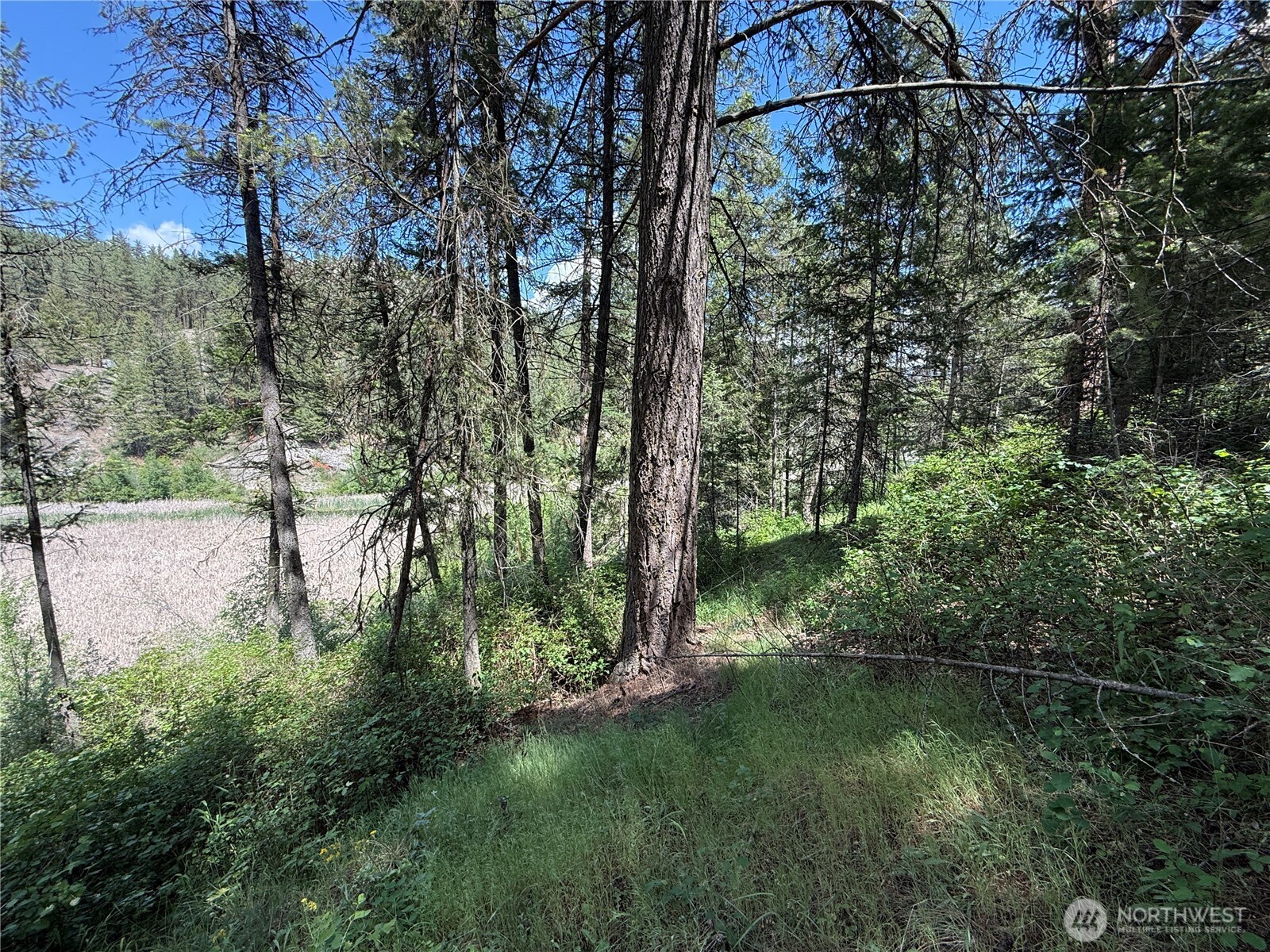 21 Pine Grove Street Republic, WA 99166 - Photo 11 of 21
