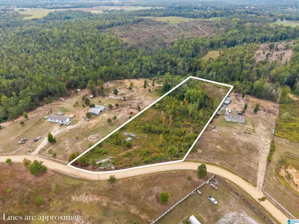 $100,000 | 341 County Road 341, Unit 1, Maplesville, AL 36750