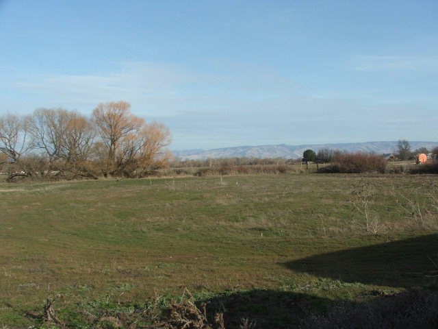 1012 Detour Road Walla Walla, WA 99362 - Photo 1 of 1 a view of an ocean