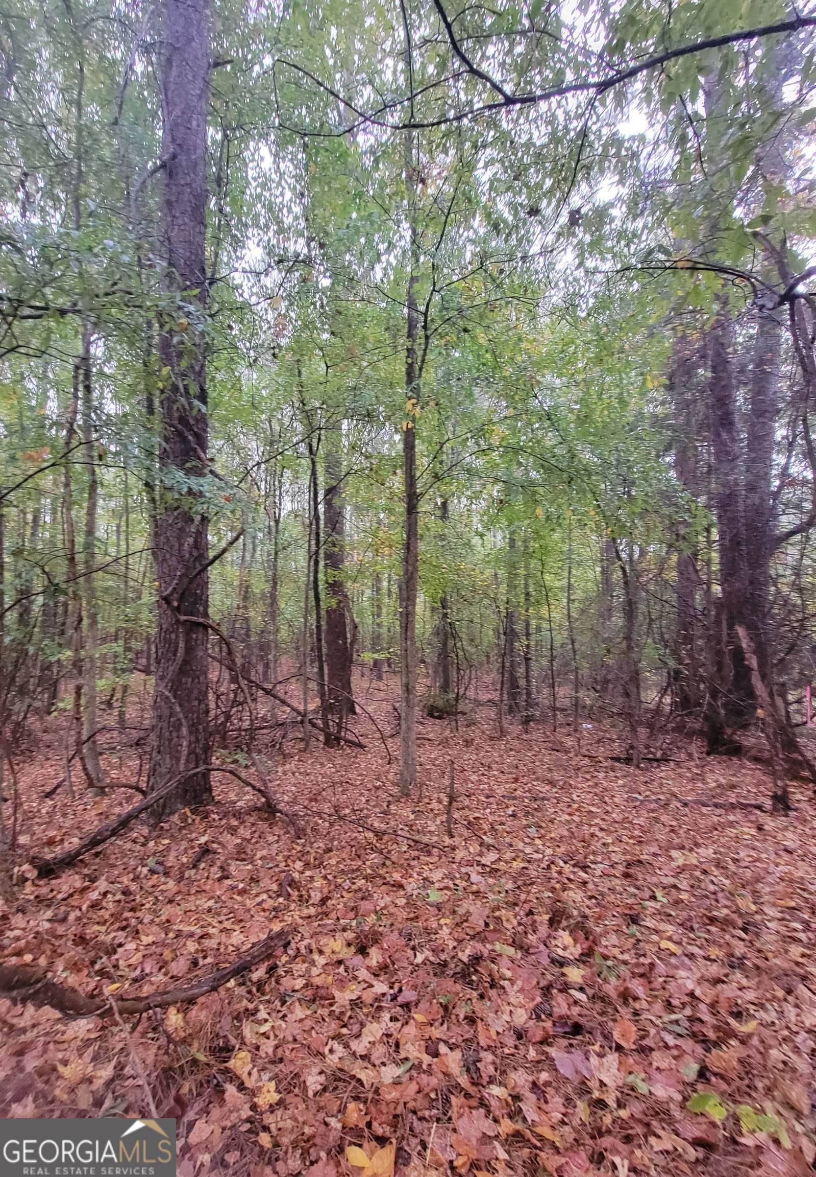 14-acres Lamars Mill Road Flovilla, GA 30216 - Photo 2 of 4