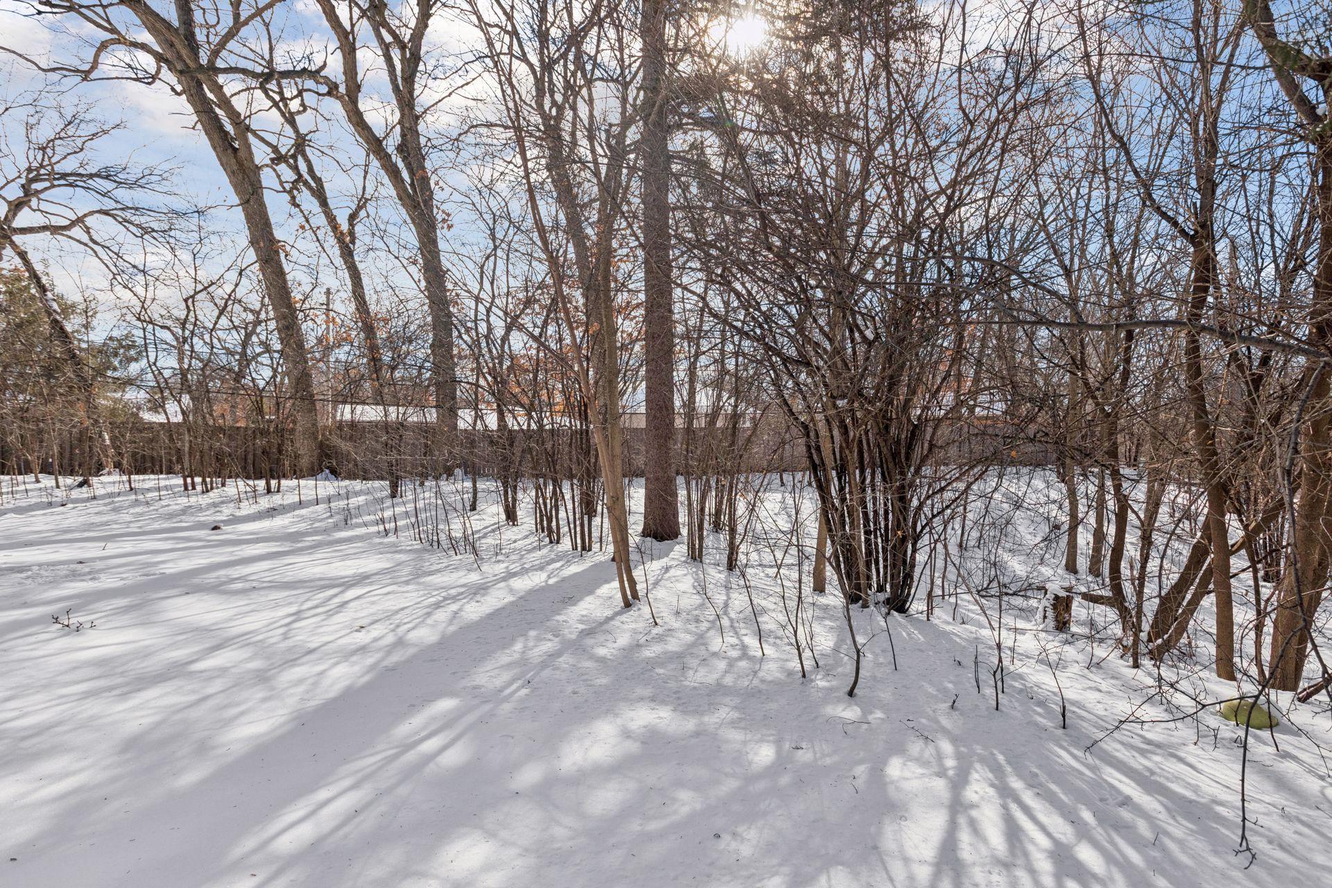 5347 Pinewood Trail Edina, MN 55436 - Photo 52 of 55