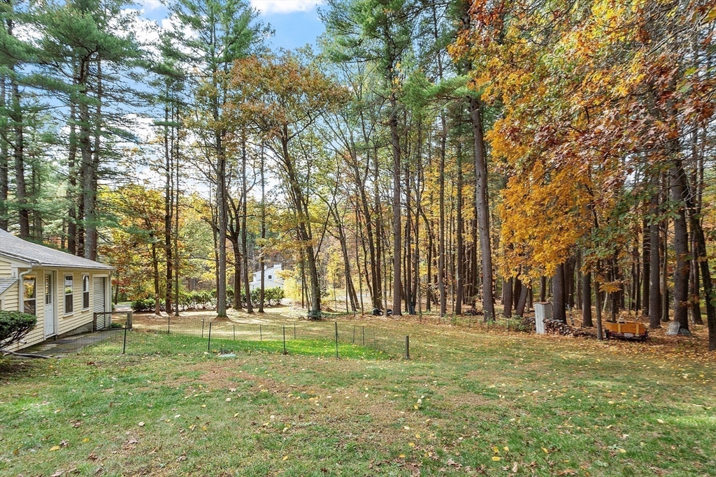 265 College Road Concord, MA 01742 - Photo 38 of 42 a view of park with trees