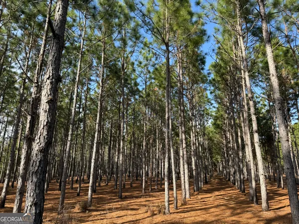 $170,120 | 14 Hwy 45, Plains, GA 31780