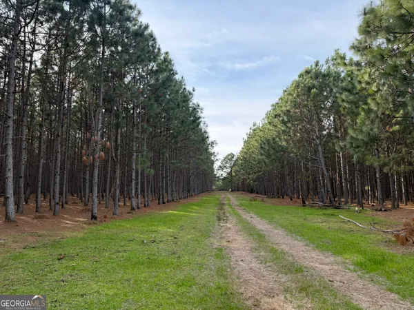 $170,120 | 14 Hwy 45, Plains, GA 31780