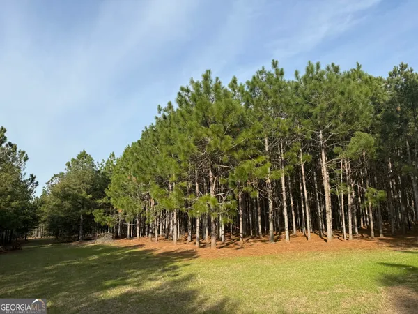 $170,120 | 14 Hwy 45, Plains, GA 31780