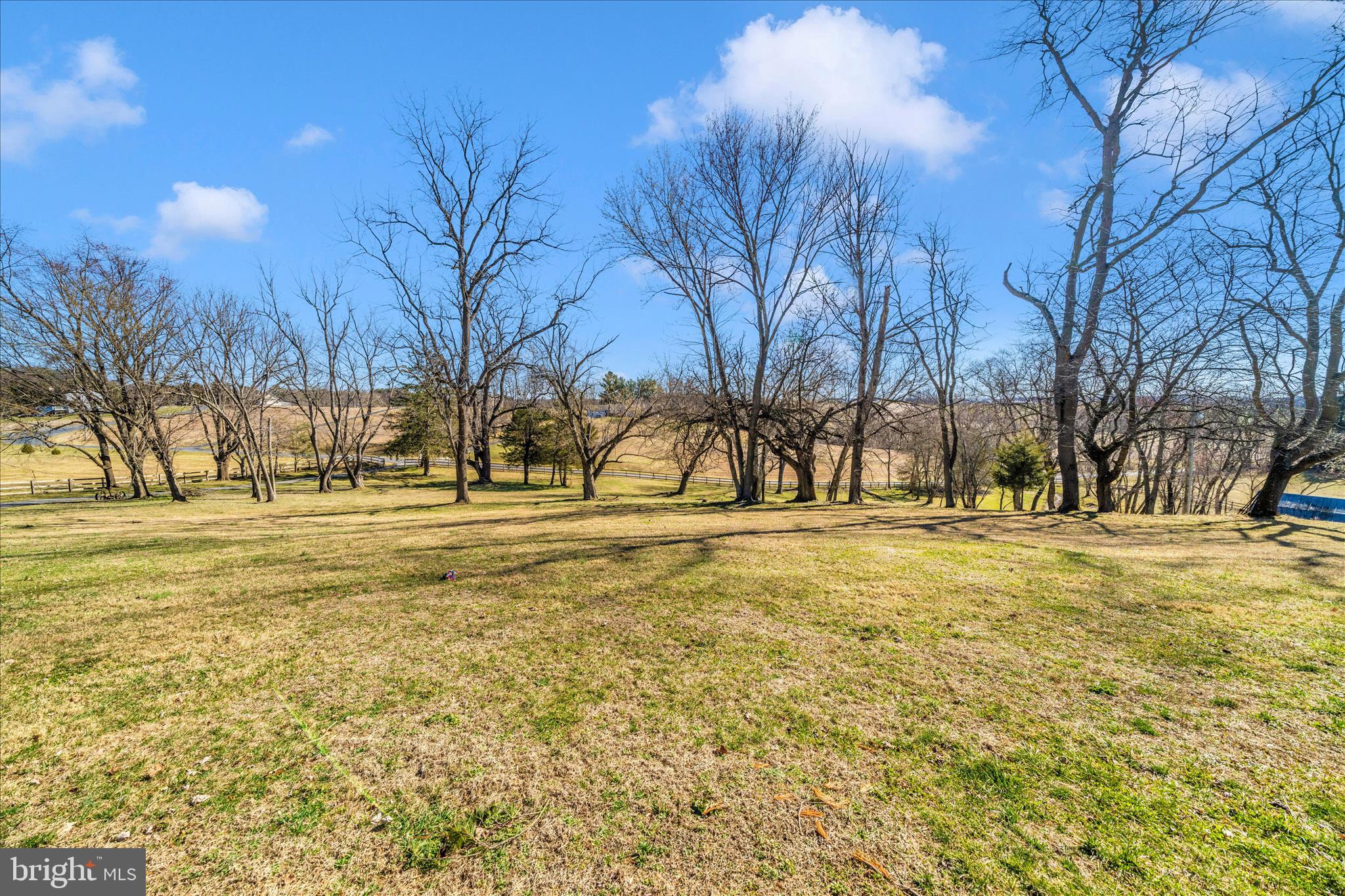 8730 Mapleville Road Mount Airy, MD 21771 - Photo 53 of 65 a view of yard with trees