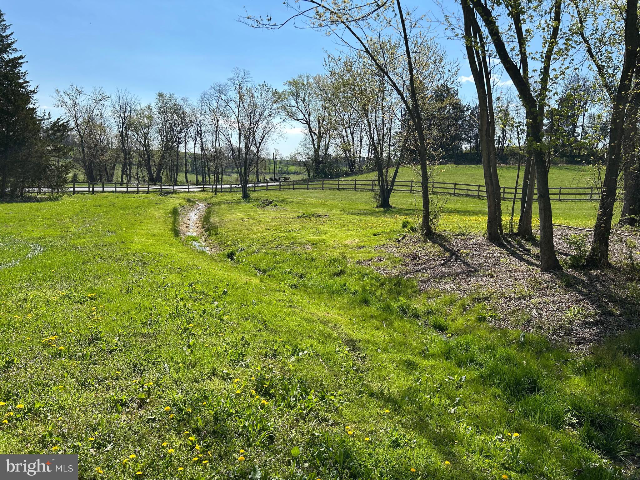 8730 Mapleville Road Mount Airy, MD 21771 - Photo 71 of 82 a view of a park with large trees
