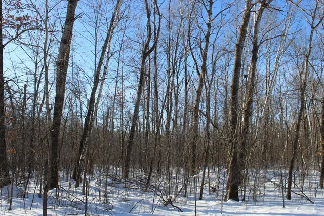 $200,000 | 91-xx 200th Street, Milaca, MN 56353