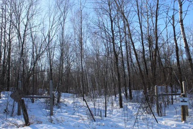 $200,000 | 91-xx 200th Street, Milaca, MN 56353