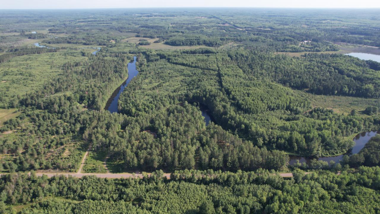 Lot Swamp Swamp Lake Road Tomahawk, WI 54487 - Photo 11 of 24 Gallery Image 11