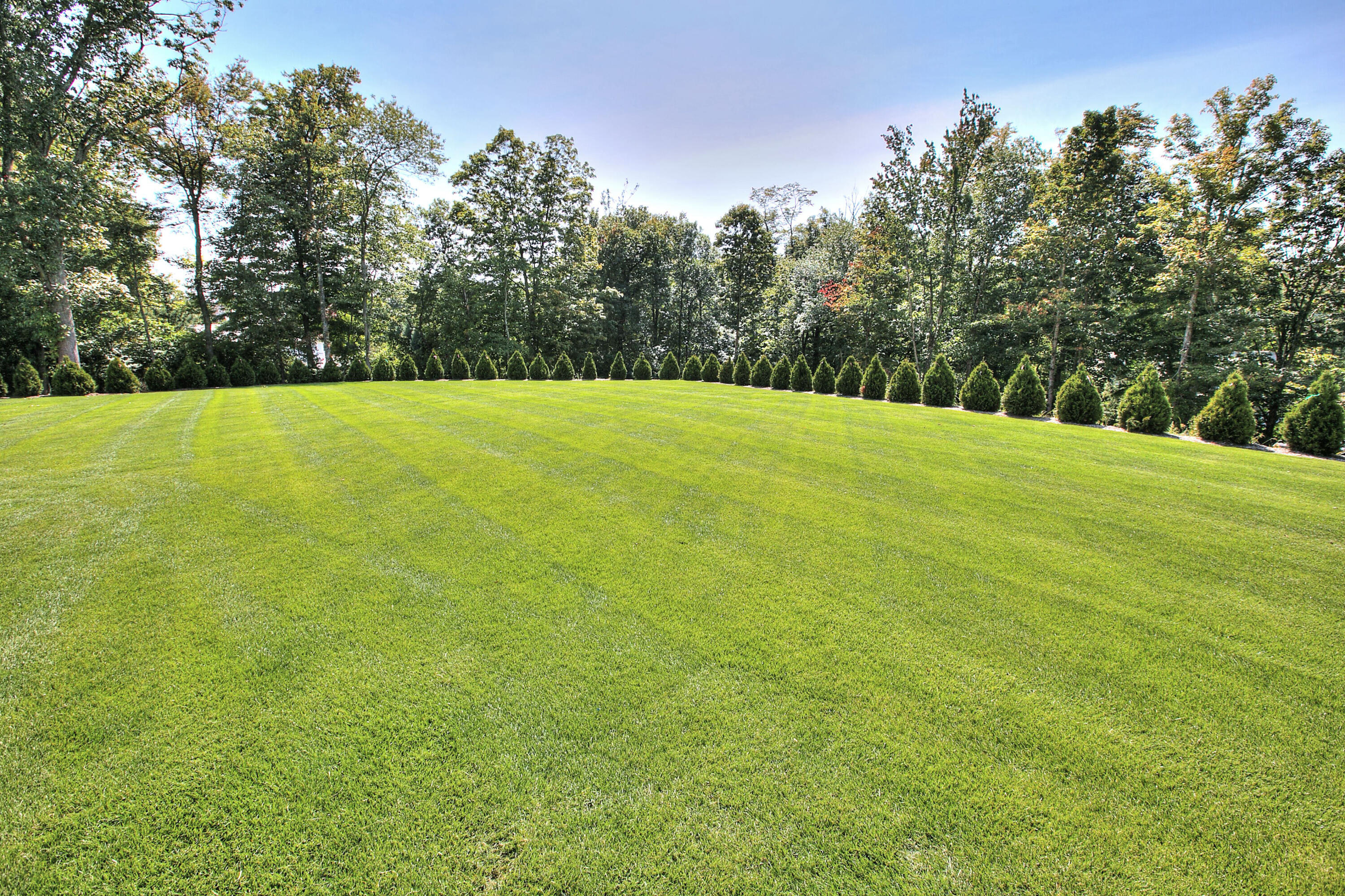 99 Turtle Back Road South New Canaan, CT 06840 - Photo 31 of 34 Backyard