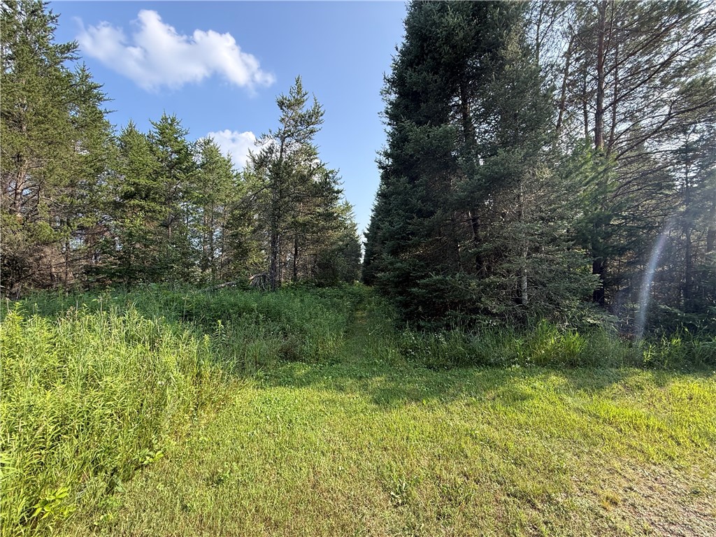 0 Tagalder Trail Hayward, WI 54843 - Photo 2 of 23
