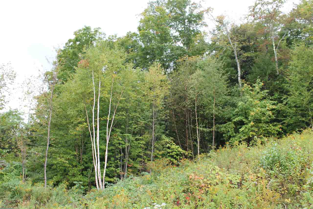 555 Morse Road Duxbury, VT 05676 - Photo 3 of 14 Gallery Image 3