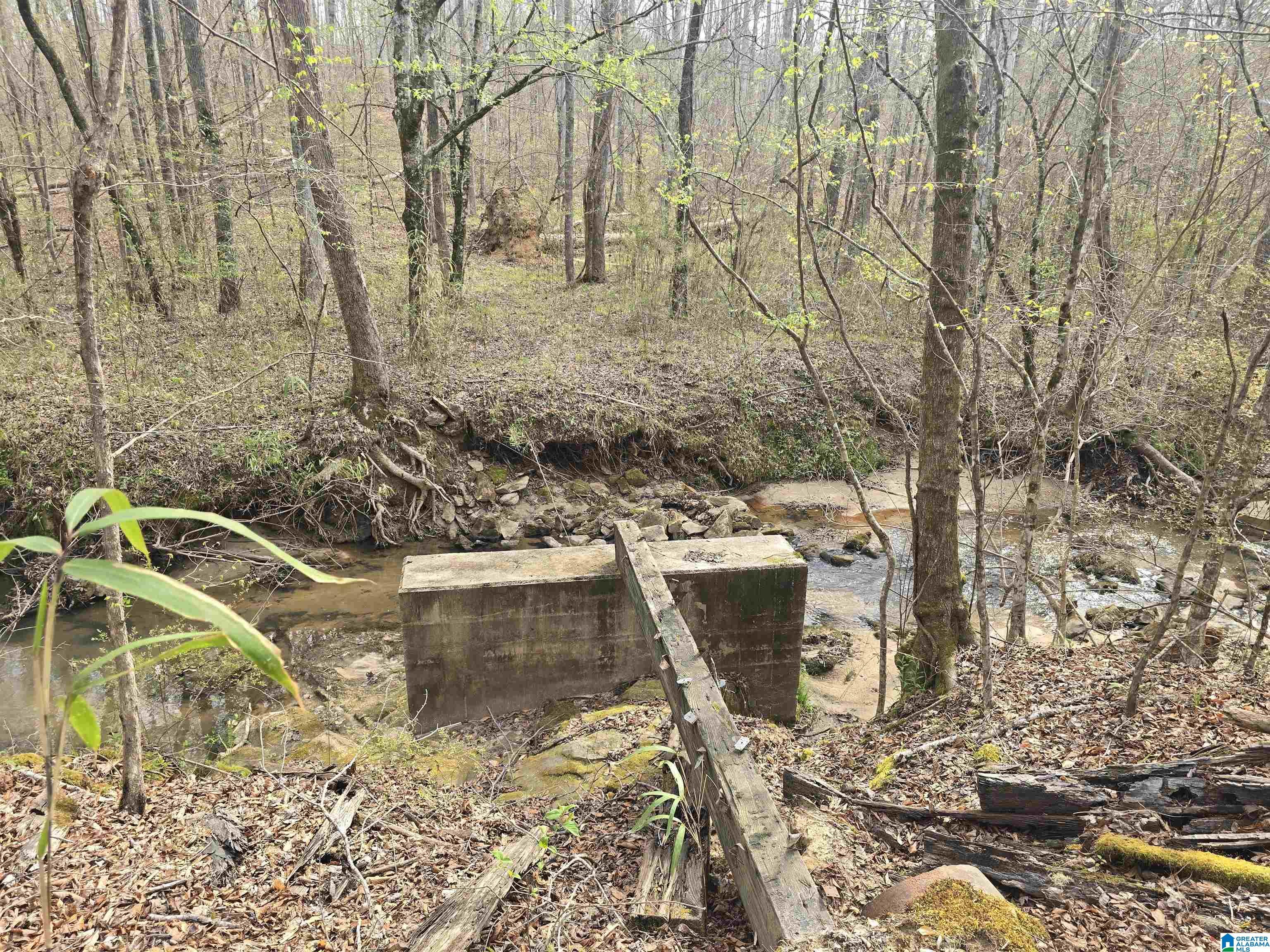 354 Springwell Road Rockford, AL 35136 - Photo 7 of 68