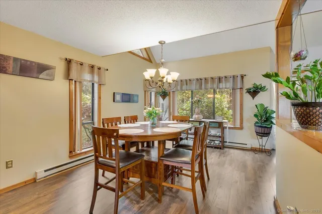 a view of a dining room with furniture and a potted plant