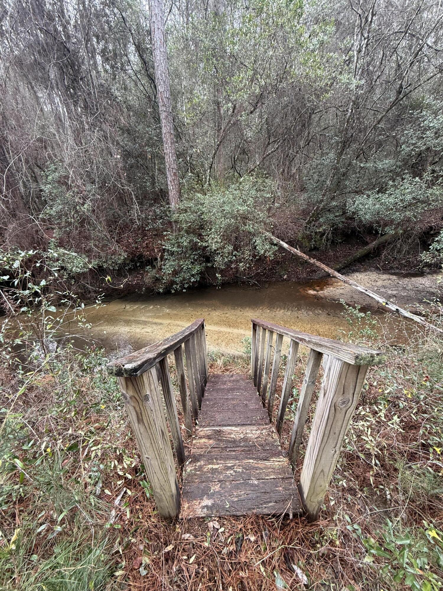 2483 Jordan Road Flomaton, AL 36441 - Photo 5 of 28 Stairs to Creek