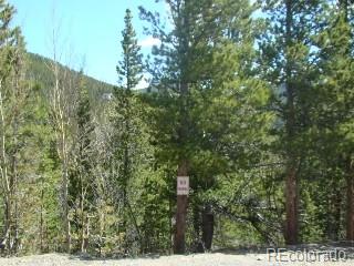 345 Alice Road Idaho Springs, CO 80452 - Photo 1 of 13 Gallery Image 1