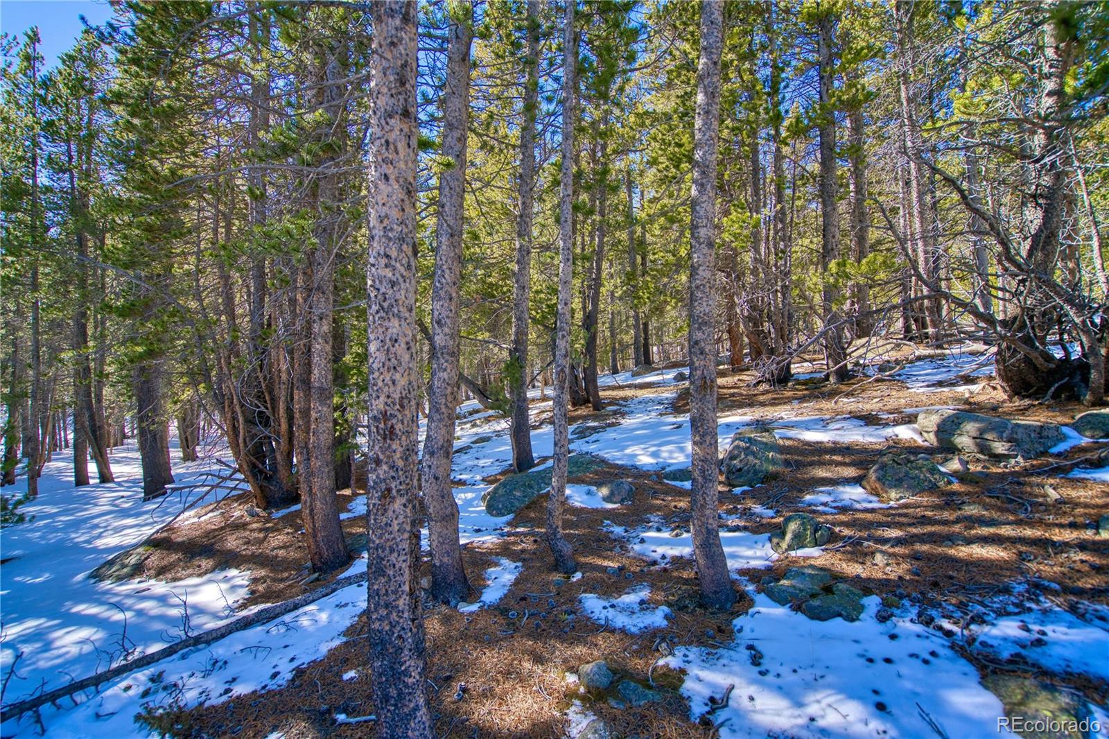 345 Alice Road Idaho Springs, CO 80452 - Photo 11 of 13 Gallery Image 11