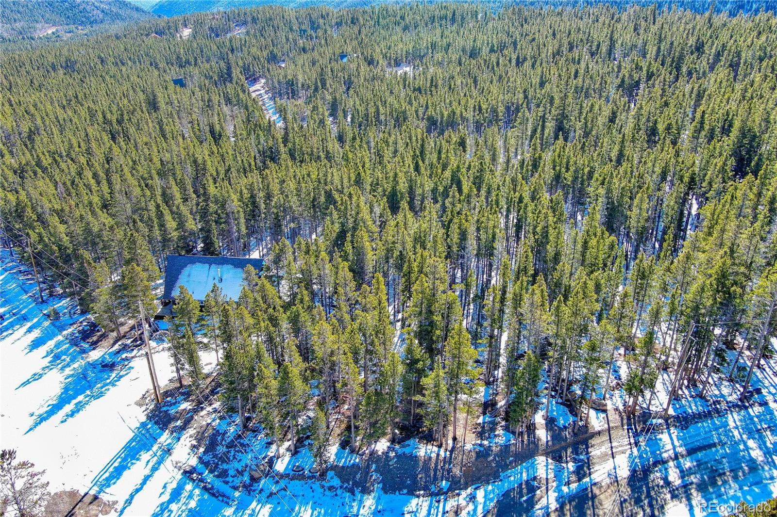 345 Alice Road Idaho Springs, CO 80452 - Photo 3 of 13 Gallery Image 3