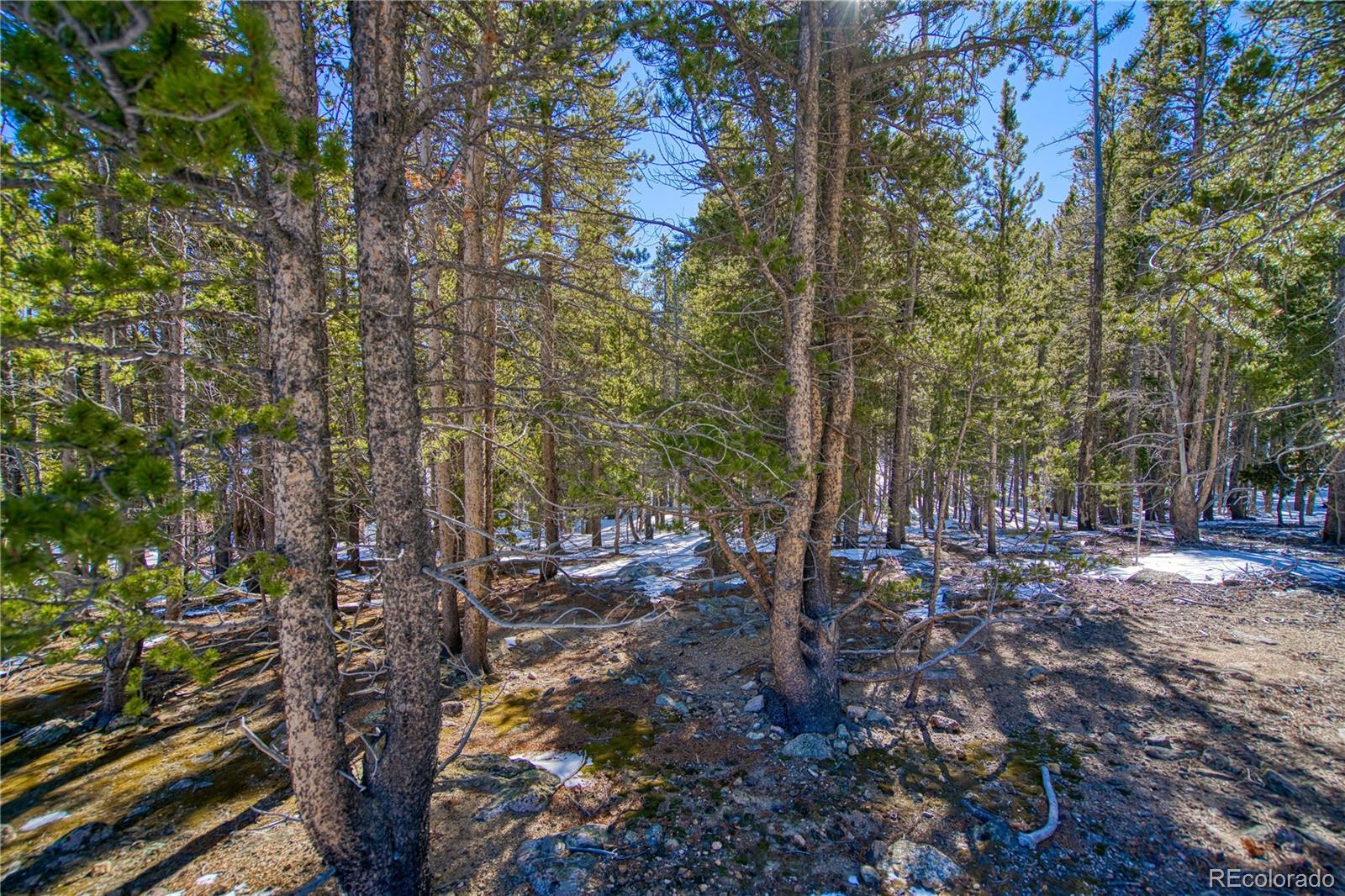 345 Alice Road Idaho Springs, CO 80452 - Photo 9 of 13 Gallery Image 9