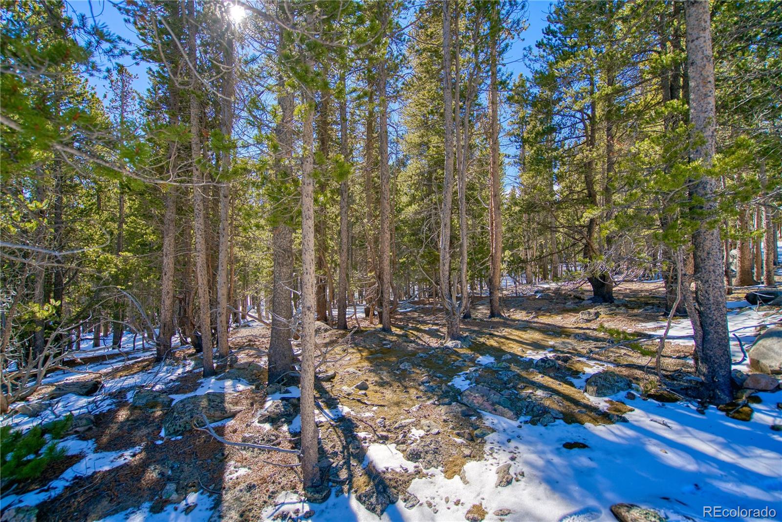 345 Alice Road Idaho Springs, CO 80452 - Photo 10 of 13 Gallery Image 10