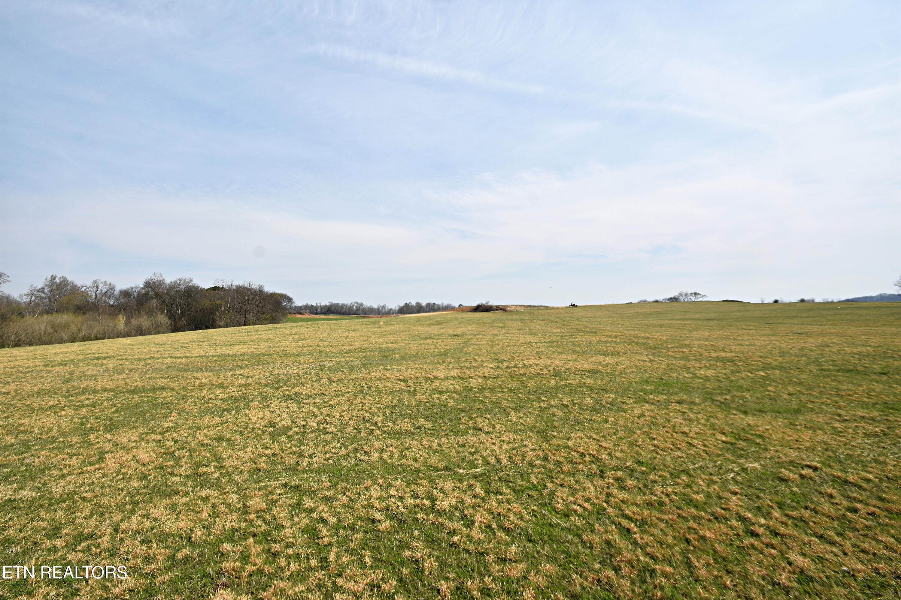 747 Stone Road Blaine, TN 37709 - Photo 17 of 40 DSC_9298