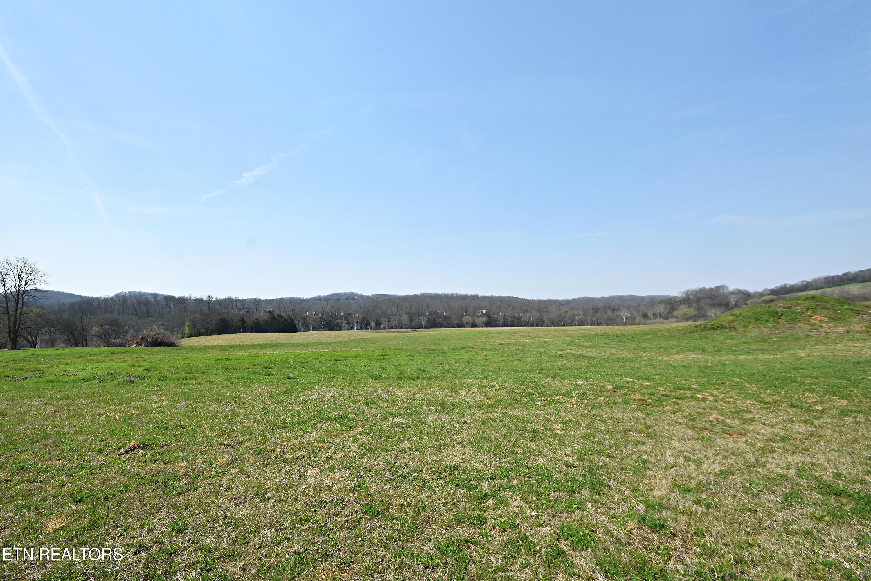 747 Stone Road Blaine, TN 37709 - Photo 35 of 40 DSC_9363