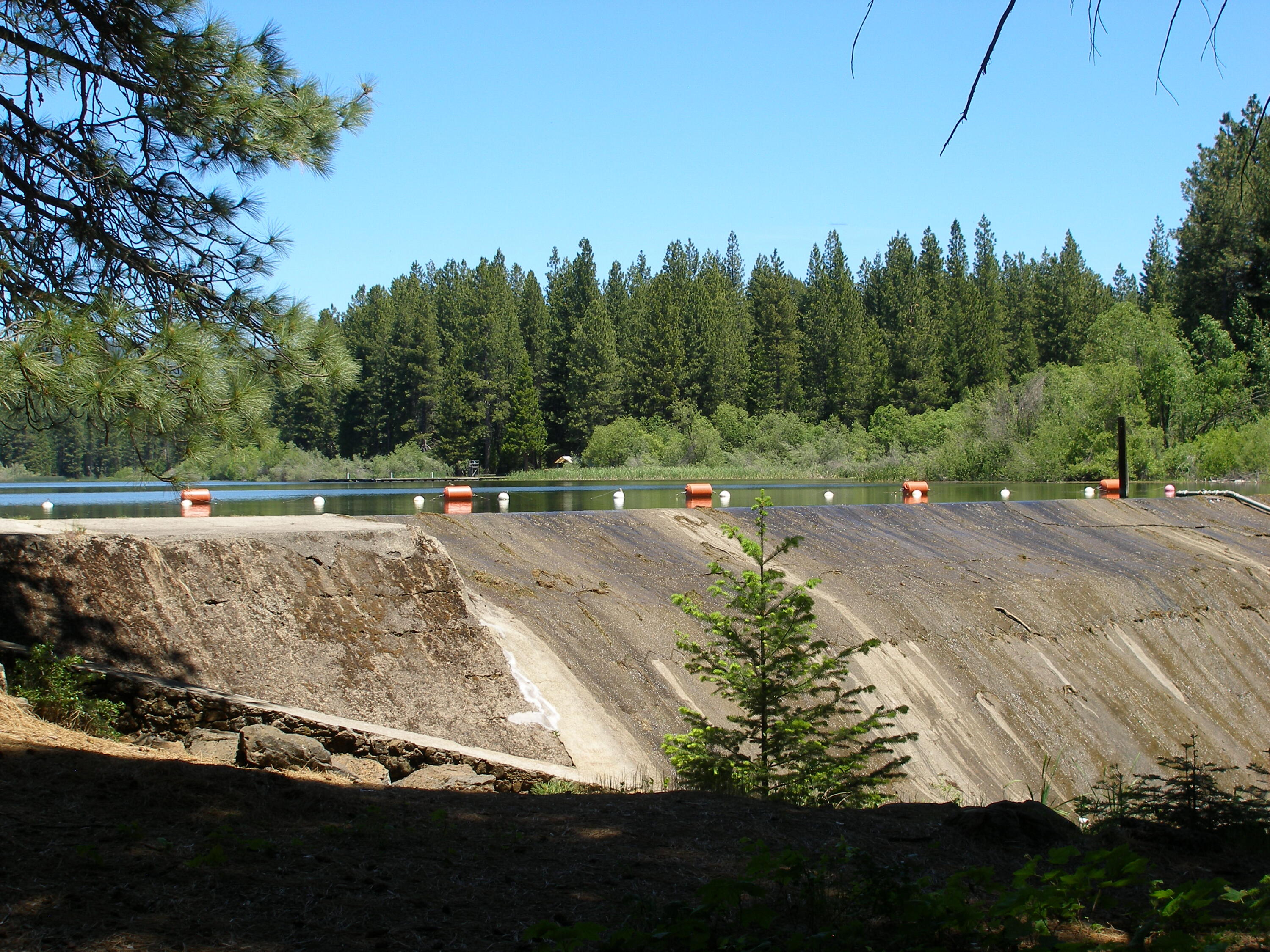 Lot 20 Thatcher Mill Road Shingletown, CA 96088 - Photo 11 of 11 a view of outdoor space with city view