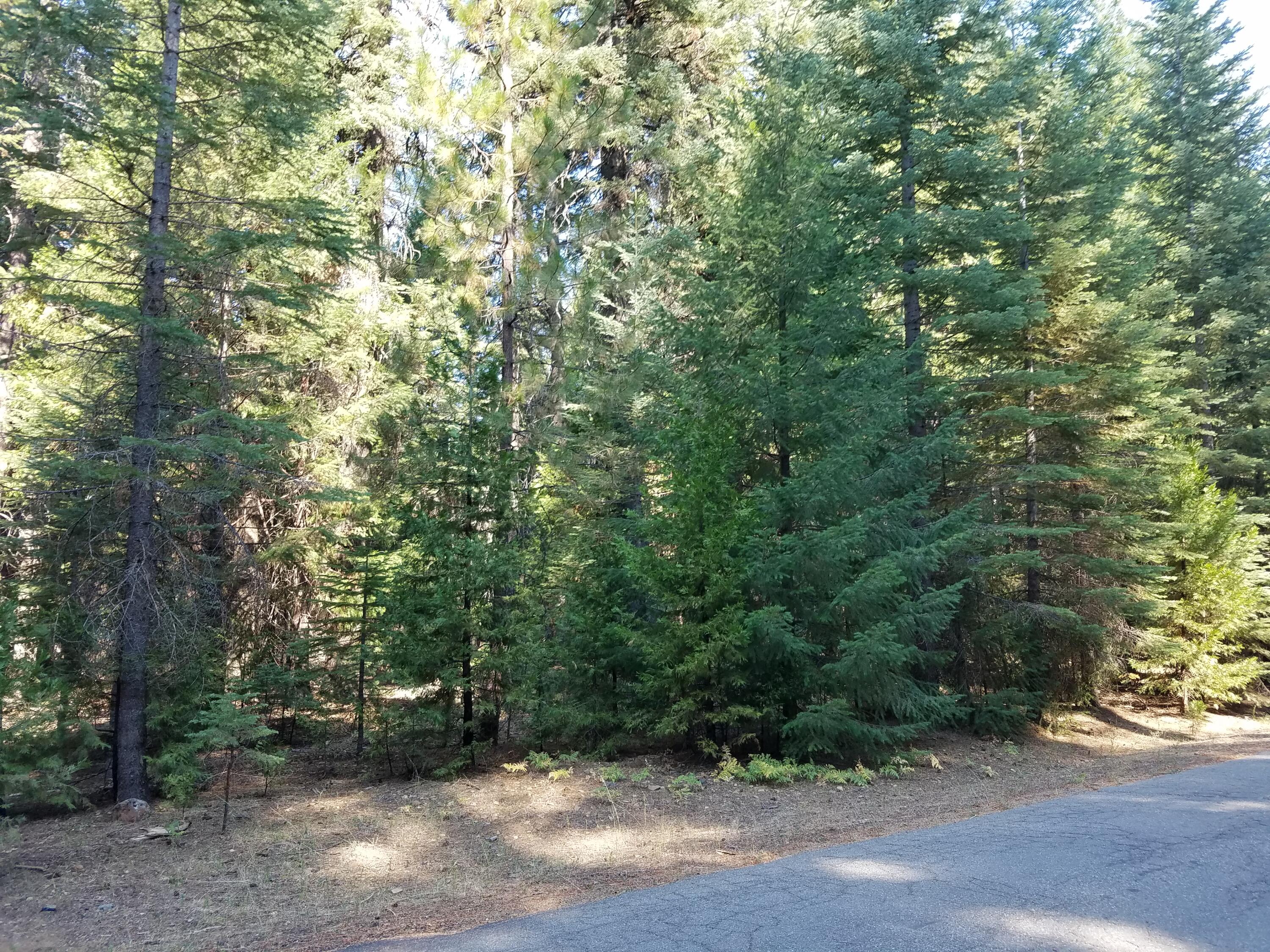 Lot 20 Thatcher Mill Road Shingletown, CA 96088 - Photo 2 of 11 a view of outdoor space and yard