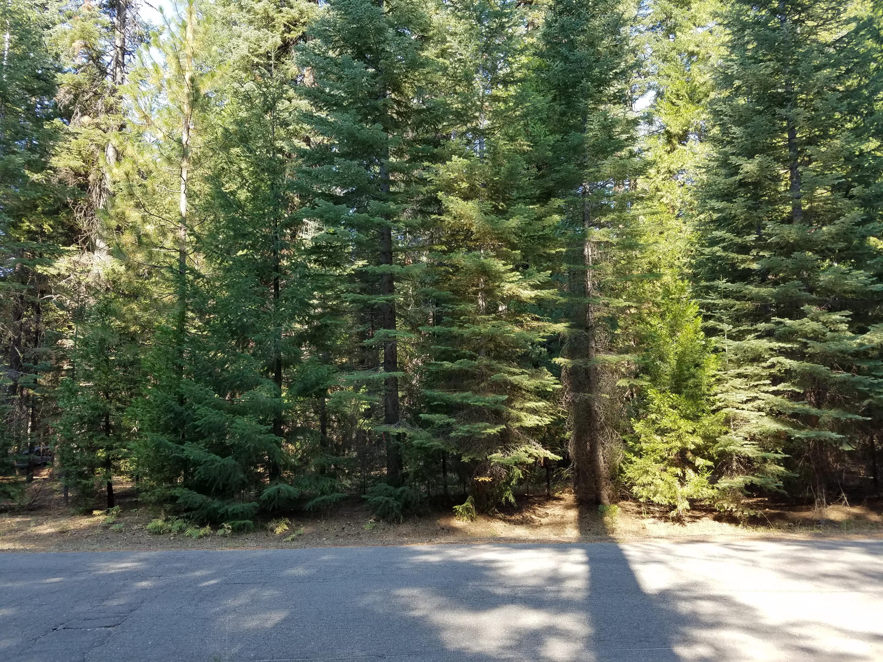 Lot 20 Thatcher Mill Road Shingletown, CA 96088 - Photo 3 of 11 a view of a yard with plants and trees