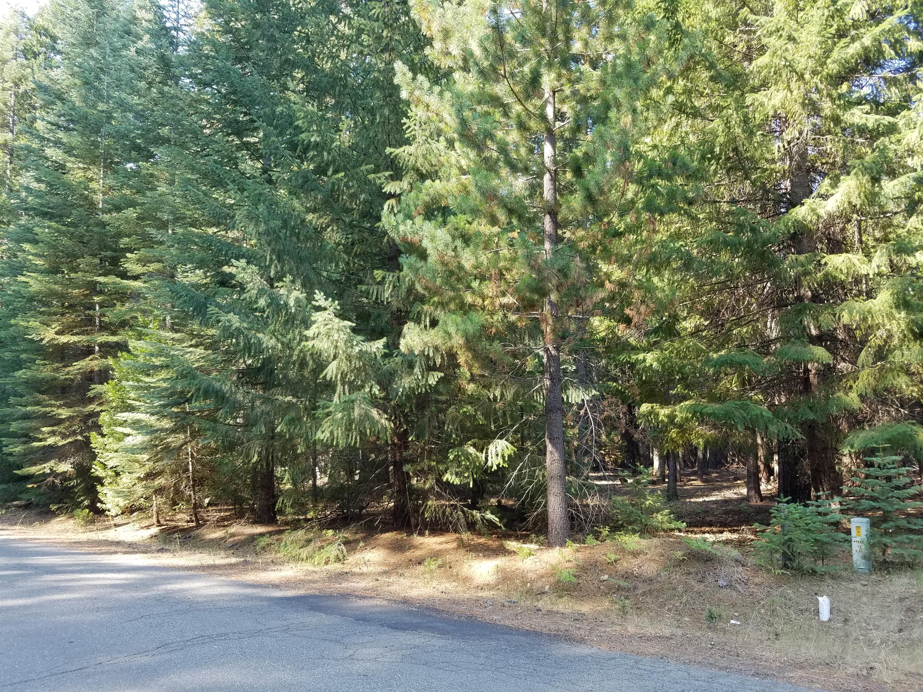 Lot 20 Thatcher Mill Road Shingletown, CA 96088 - Photo 6 of 11 a view of a yard with plants and trees