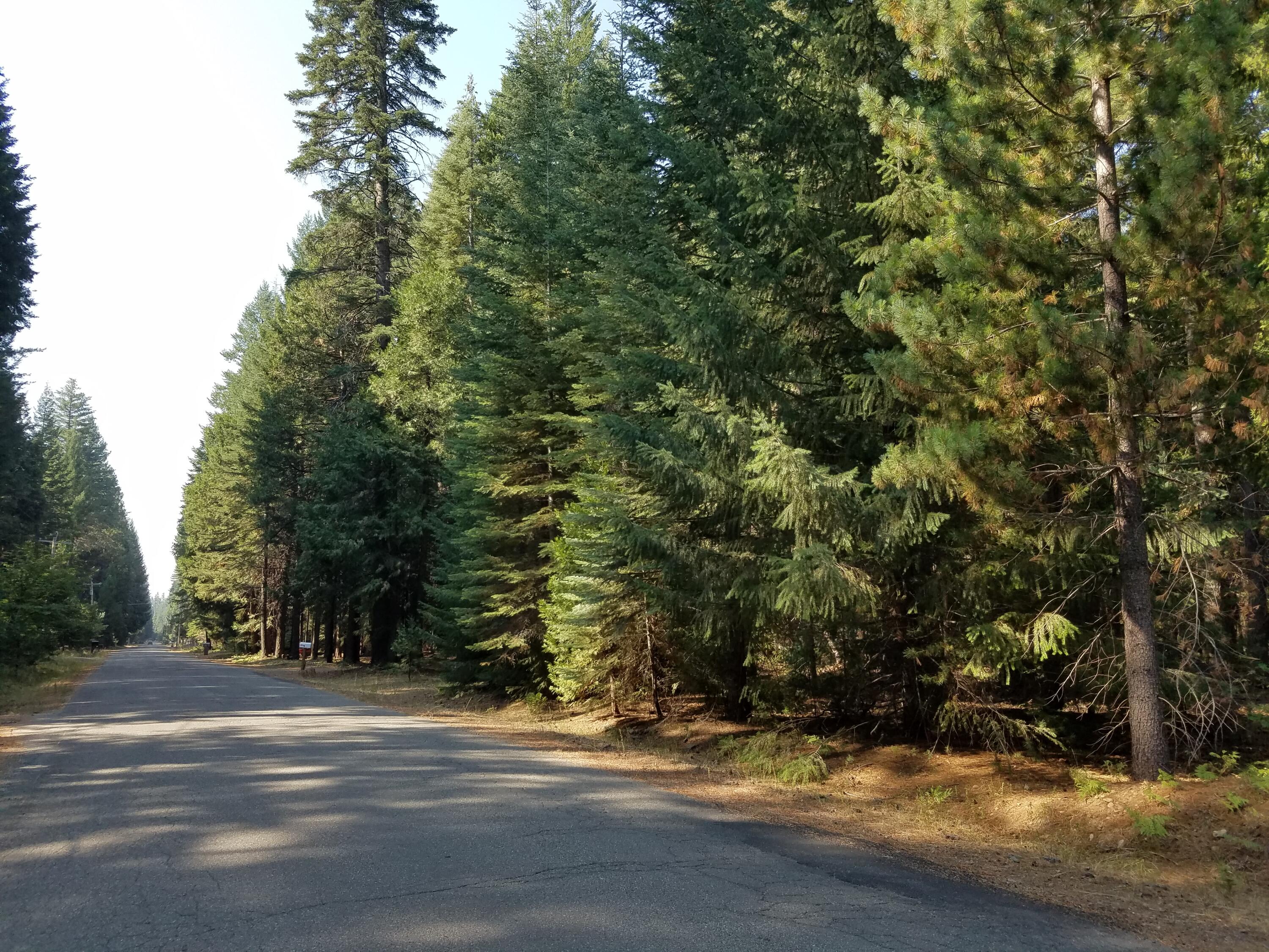 Lot 20 Thatcher Mill Road Shingletown, CA 96088 - Photo 7 of 11 a view of a city view