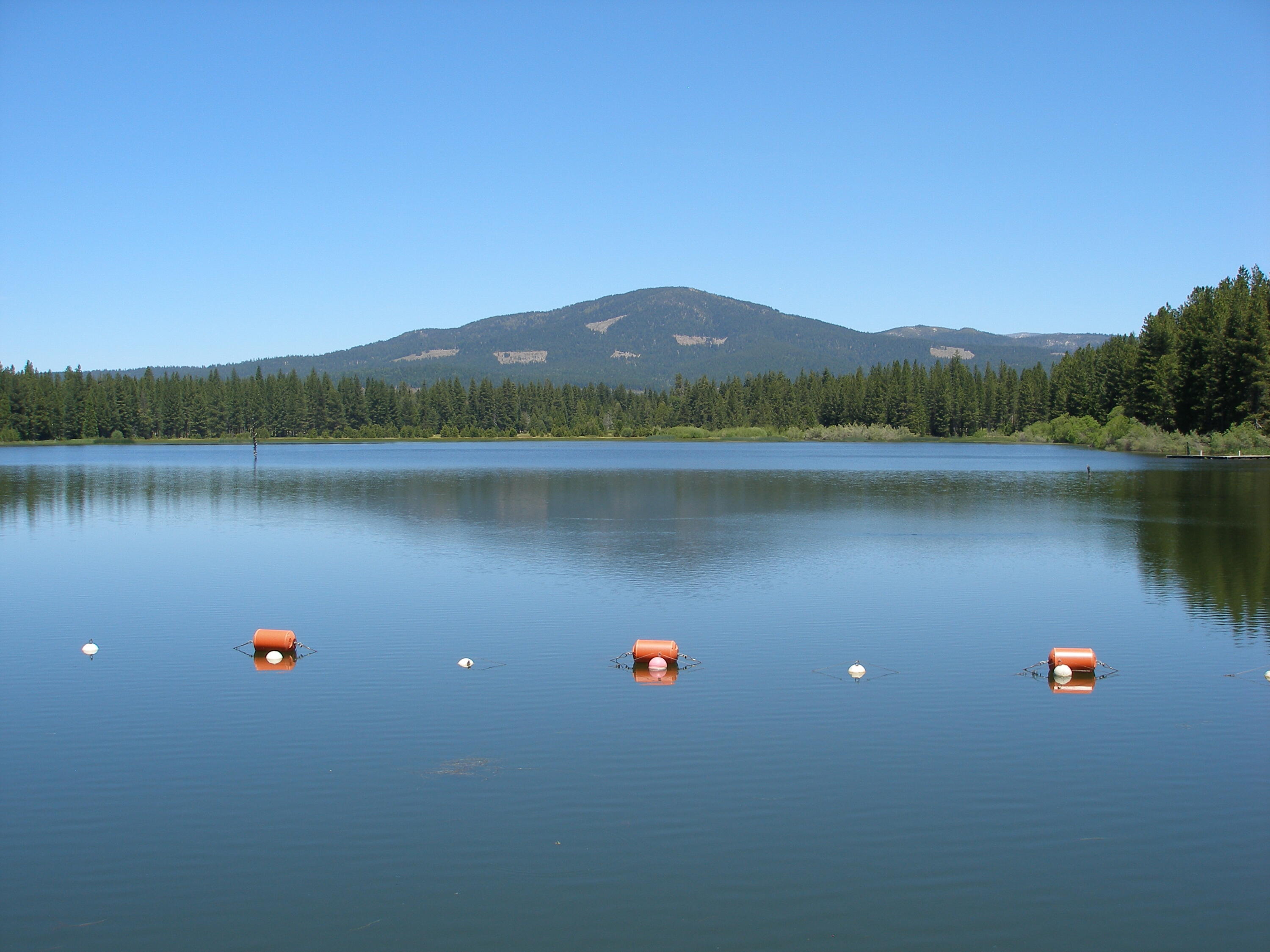 Lot 20 Thatcher Mill Road Shingletown, CA 96088 - Photo 9 of 11 a view of a lake