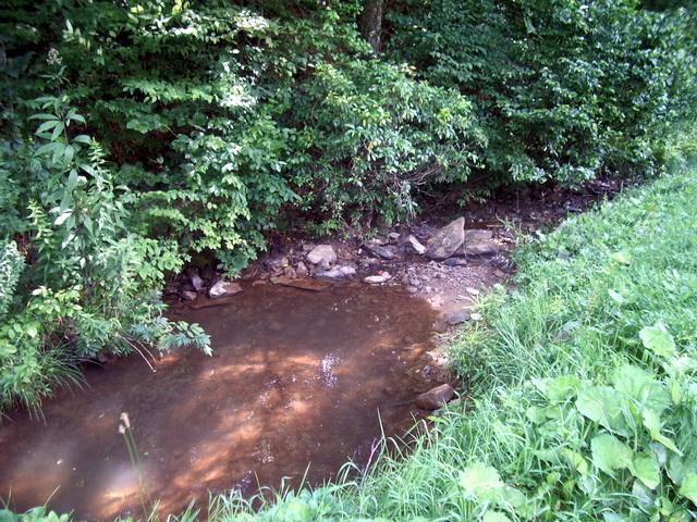 546 Joe Patterson Rd Spring Dale Meadow Bridge, WV 25976 - Photo 26 of 26 Across road